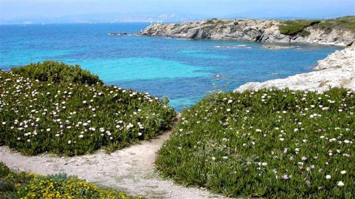 Villa Spacieuse, Climatisation, Piscine, Jardin Paysage, Proche Mer Saint-Cyr-sur-Mer Buitenkant foto
